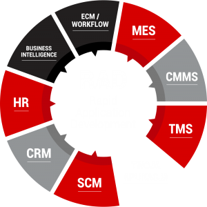 RAD application development
